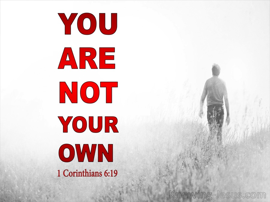 1 Corinthians 6:19 Your Body Is A Sanctuary Of The Holy Spirit (red)